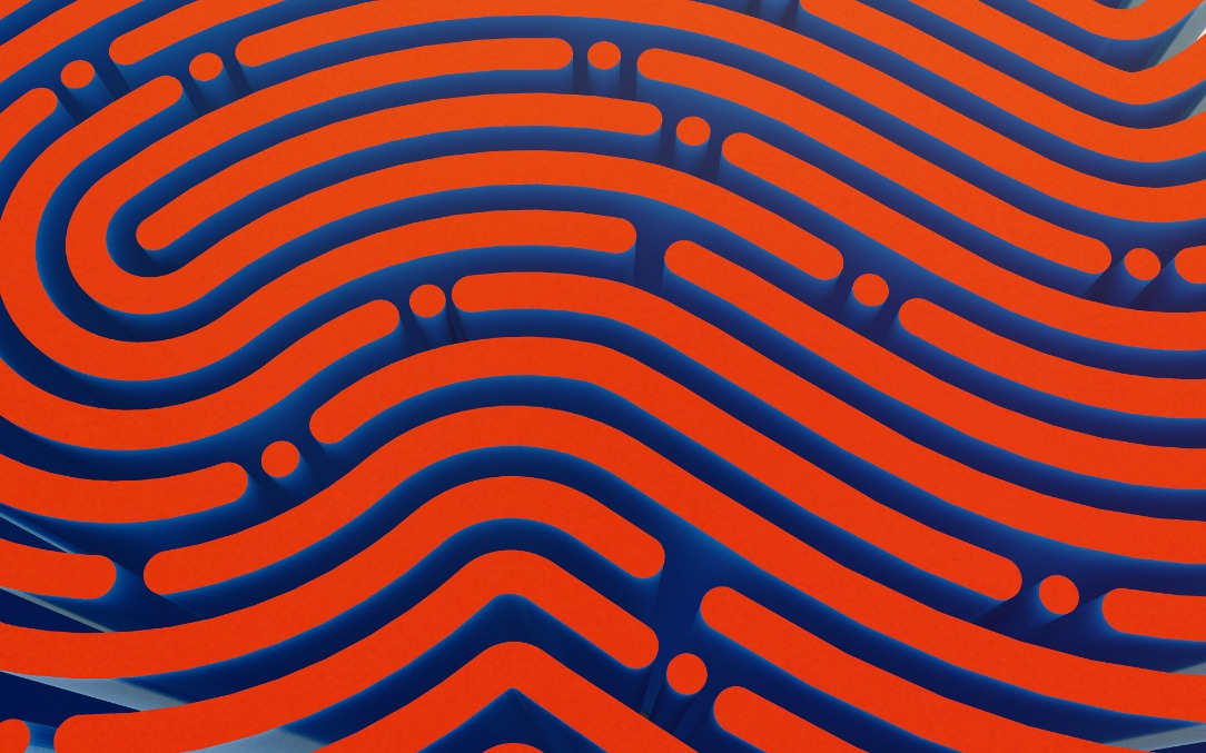 Visual Identity